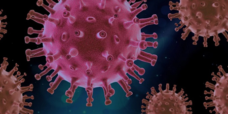  Coronavirus cases in news organizations, curbs on media alarming: PPF report 